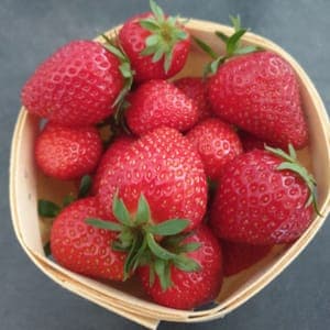 Fraises