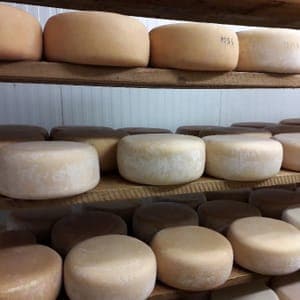 Tomme de brebis