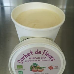 Sorbet Fleurs de sureau