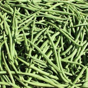 Haricots