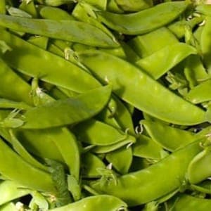 Pois gourmand / mangetout - le sachet de 250 g