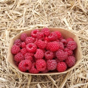 Framboise - Barquette de 250 g