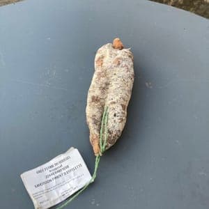Saucisson au piment d'espelette de porc gascon