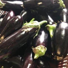 Aubergines violette