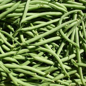 Haricot vert