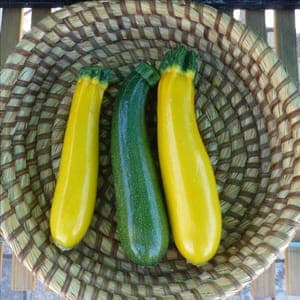 Courgette