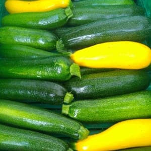 Courgettes