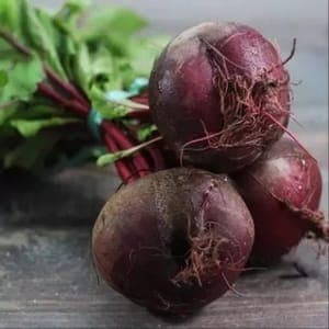 Betteraves rouges botte (~500g)
