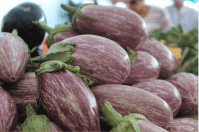 Aubergines Rayées