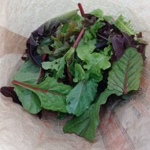 Mesclun de salade