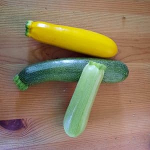 Courgette longue