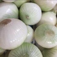 Oignons Blancs FRais Bio