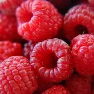 Framboise