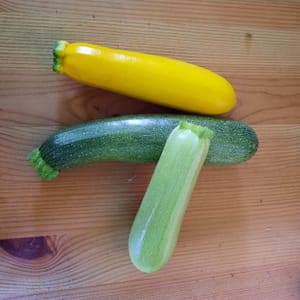 Courgette longue
