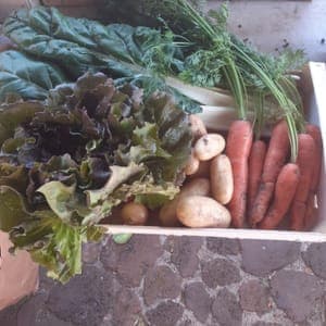 Panier légumes de saison 1 personne