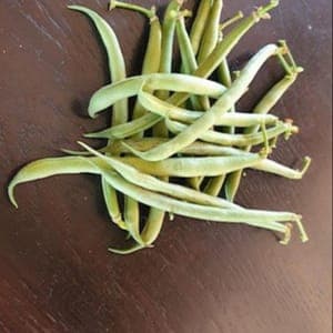 Haricots verts