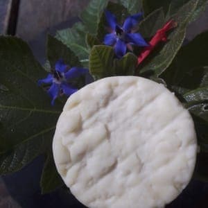 fromage de brebis crémeux : lysous