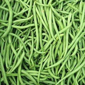 Haricots verts