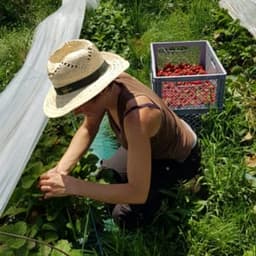 Les jardins de la Dosse #0