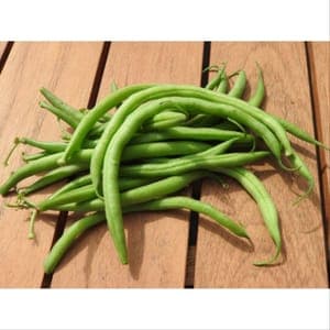 Haricot vert