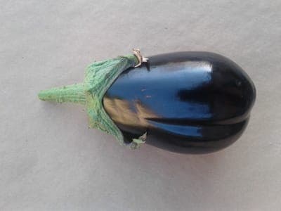 Aubergine