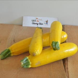 courgette jaune