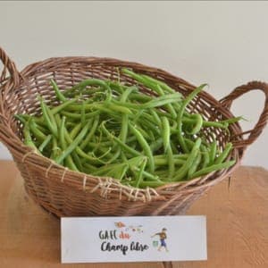 haricot vert