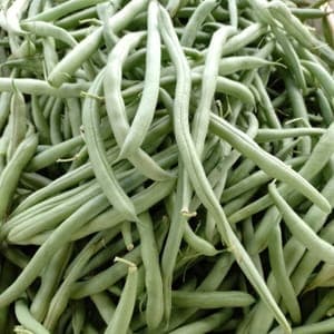 Haricots verts main Le Potager du Coin