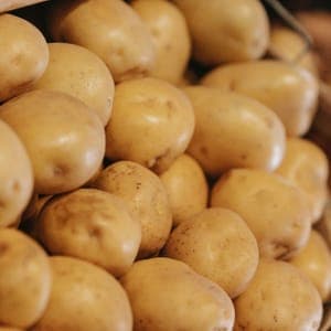 pomme de terre nouvelle