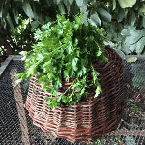 *Aromatiques