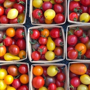 Tomates cerises