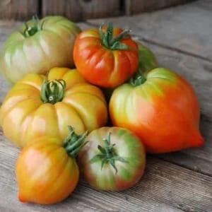 Tomates anciennes 1Kg
