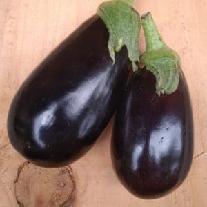 Aubergine