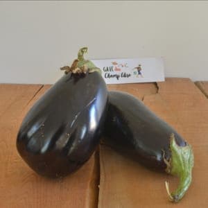 aubergine classique