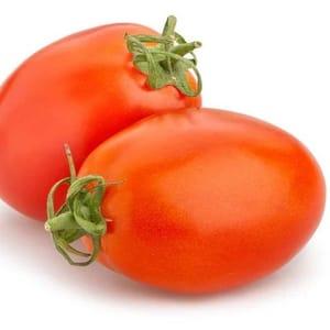 Tomate ronde ou allongée