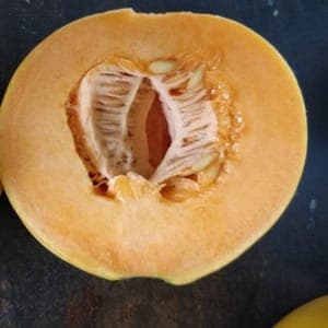 MELON