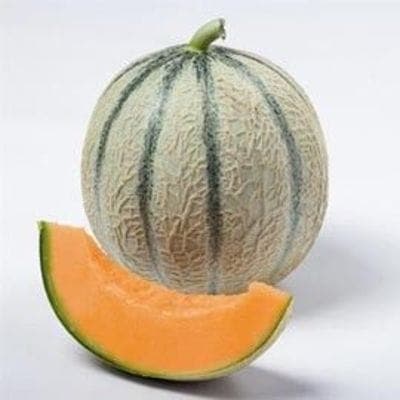 Melon