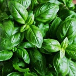 Aromates