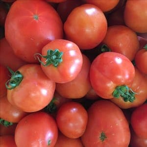 Tomate