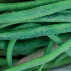 Haricots vert plats Aigue Vive)