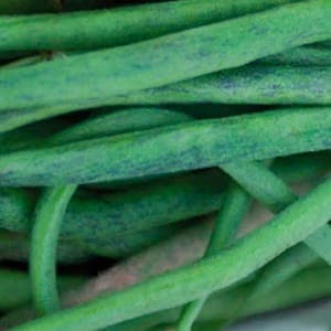 Haricots vert (Aigue Vive)