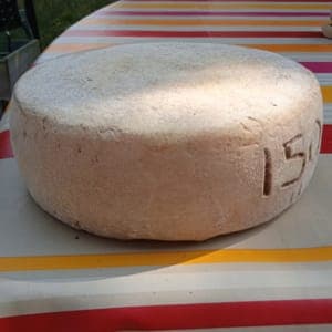 Tomme de vache