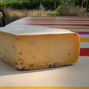 Tomme de vache/fenugrec