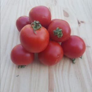 Tomate ronde