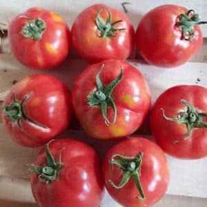 Tomate ronde - Colis de 5 kg
