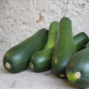 Courgette Verte BIO