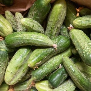 Cornichons