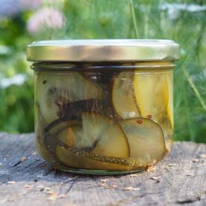 PICKLES DE COURGETTES (Pibeste)