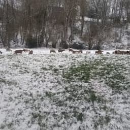 ferme chez babiau #3