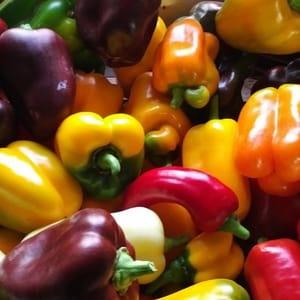 Poivrons couleur